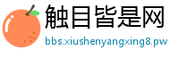 触目皆是网